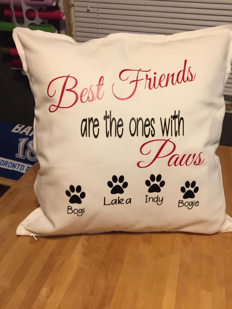 20414095_1951105738470729_8255563266574616026_o