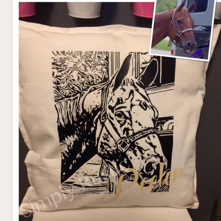 21686758_1972248116356491_1789718206934520451_o